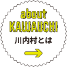 about KAWAUCHI 川内村とは