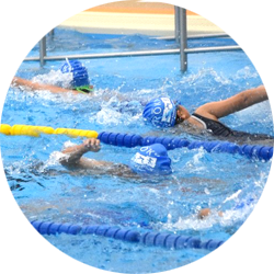 かえるの郷
トライアスロン