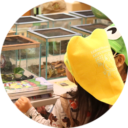 かえるかわうち
モリタロウ祭り