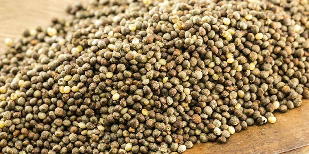 荏胡麻（えごま）